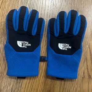 The North Face Black and Blue Fleece Gloves